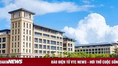 한 학교 신입생 24명이 대학 입학을 위해 졸업 성적을 위조했다