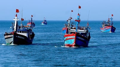 EC dời lịch kiểm tra "thẻ vàng" IUU sang tháng 9