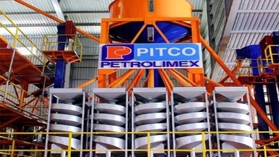 Cổ phiếu PIT của Xuất nhập khẩu Petrolimex vẫn trong diện cảnh báo