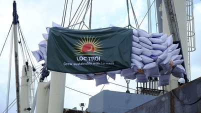 Chủ tịch Lộc Trời: Hoãn công bố báo cáo tài chính vì gặp sự kiện bất khả kháng
