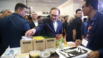 "Diễm xưa" rồi, Halal không chỉ là không thịt lợn, không rượu bia