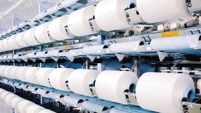 Sợi Thế Kỷ lãi quý III gấp 5 lần cùng kỳ