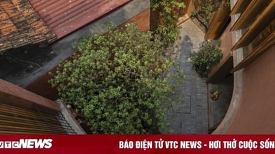 Lộ diện người chiến thắng Giải thưởng Kiến trúc châu Á 2023