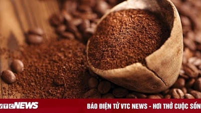 Coffee price today December 19: Domestic and world prices both decrease