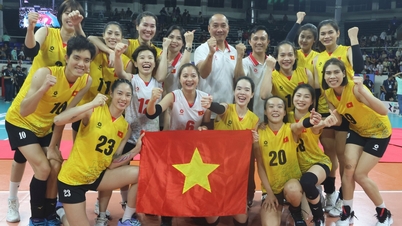 ក្រុមបាល់ទះនារីវៀតណាមបានតំណែងជើងឯកពិភពលោកជាផ្លូវការហើយ។