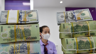 Depositing nearly 7.8 million billion VND in temporarily idle budget, earning more than a billion USD in bank interest
