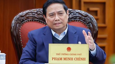 "មានគោលនយោបាយគាំទ្រសម្រាប់បុគ្គលិកដែលឈប់ពីការងារភ្លាមៗបន្ទាប់ពីសម្រួលឧបករណ៍"