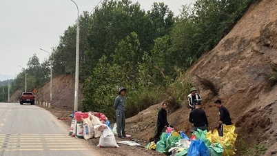 People dig road embankment worth over 100 billion to get land to plant seedlings