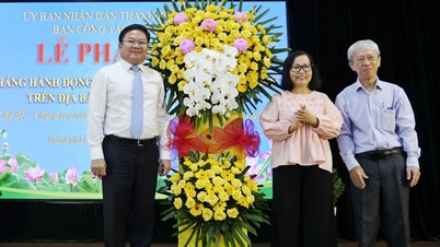 Tương lai không xa là "kỷ nguyên của người cao tuổi"