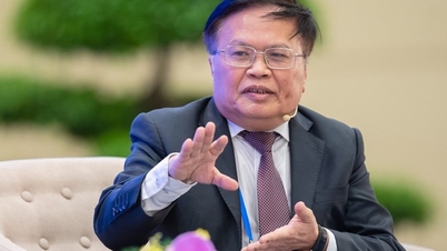 Experts point out the 'weakest point' of Vietnam's economy