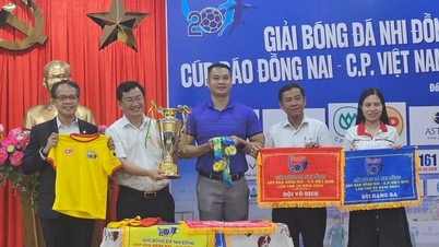 Dong Nai Newspaper Cup Children's Football Tournament promises to be exciting