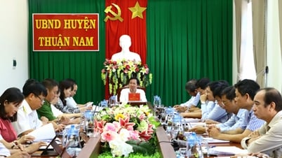 ថ្នាក់ដឹកនាំគណៈកម្មាធិការប្រជាជនខេត្តធ្វើការជាមួយគណៈកម្មាធិការប្រជាជនស្រុក Thuan Nam