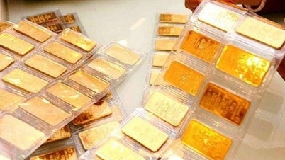 Ngân hàng Nhà nước dự kiến đấu thầu 16.800 lượng vàng SJC