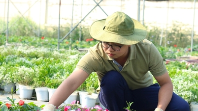 Trường Đại học Lâm nghiệp công bố điểm chuẩn năm 2024