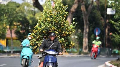 Dự báo thời tiết 17/1/2025: Không khí lạnh ảnh hưởng khắp Bắc Bộ, trời giá rét