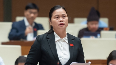 'ការគេចវេសពីការបង់ប្រាក់ធានារ៉ាប់រងសង្គមត្រូវតែចាត់ទុកដូចជាការគេចពន្ធ'