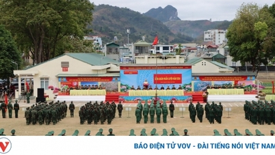 손라, 훈련 시작, 전투 준비 완료