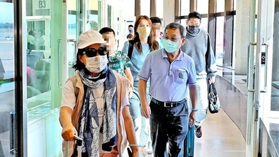 Bị cáo buộc 'cố tình lừa đảo'