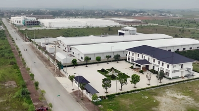 Thanh Hóa sắp có khu công nghiệp 55 triệu USD