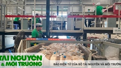 Quản lý, sử dụng tiền đóng góp hỗ trợ tái chế như thế nào?