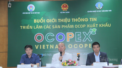 Tạo sức bật trên thị trường quốc tế