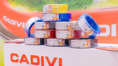 GELEX pre-tax profit of 2,270 billion VND after 9 months