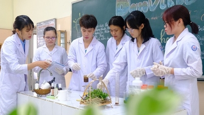 A group of 11th grade students make shampoo and conditioner from watercress and soapberry to prevent hair loss.