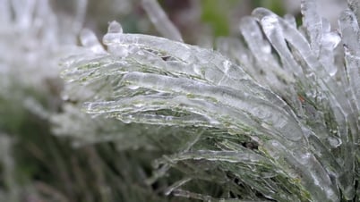 カオバンの氷に興奮する観光客