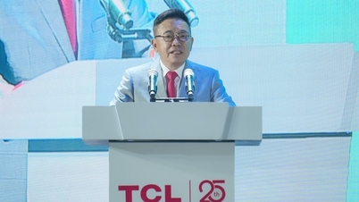 TCL ប្រារព្ធខួប 25 ឆ្នាំនៃវត្តមាននៅក្នុងទីផ្សារវៀតណាម