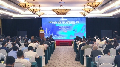 វេទិកាសហប្រតិបត្តិការវៀតណាម