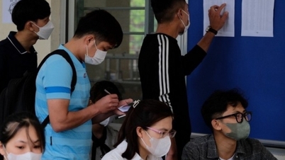 Nhu cầu nhân lực của các thị trường trọng điểm đối với lao động Việt Nam