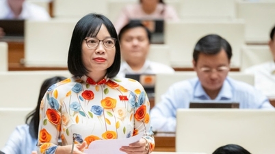 国会議員は、貧困世帯や単身世帯が電気料金の支払いを滞納した場合には利息を請求しないことを提案した。