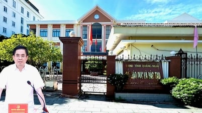 Chủ tịch tỉnh Quảng Ngãi yêu cầu rà soát, nghiên cứu cơ chế chính sách luân chuyển giáo viên