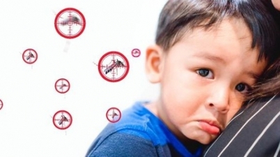 Bệnh nhi nặng liên tục nhập viện; không nên chủ quan khi trẻ sốt, nôn ói