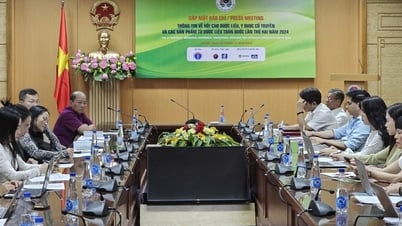 More than 400 booths participate in the National Traditional Medicine and Pharmaceutical Fair in 2024