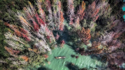 មើលមេឃអឺរ៉ុបនៅកណ្តាលប្រទេសវៀតណាម