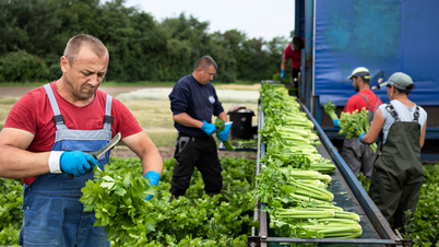 Denmark-Vietnam dialogue on sustainable agricultural production