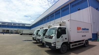 Quy mô chuỗi cung ứng lạnh cho thị trường bán lẻ Việt Nam lên tới 10 tỷ USD/năm