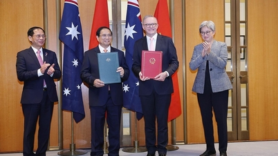 Australian expert: Vietnam is a great opportunity for Australia