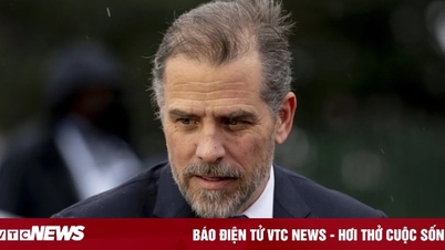 US President Biden's son will plead guilty to tax evasion