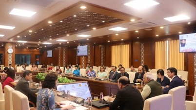 Kết nối qua văn hóa