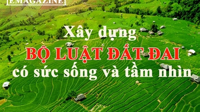 [E-magazine] - ការកសាងច្បាប់ភូមិបាលដោយភាពរឹងមាំ និងចក្ខុវិស័យ
