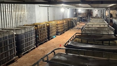 Secret base discovered deep inside rubber plantation in Ba Ria