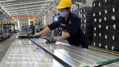 関税総局、鉄鋼輸入における脱税の手口について警告