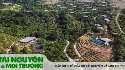 សំណើ​ពិនិត្យ​មើល​អង្គភាព​ជា​ច្រើន​ដែល​អនុញ្ញាត​ឱ្យ​មាន​ការ​រំលោភ​ដីធ្លី និង​សំណង់​នៅ​ខេត្ត Hoa Binh