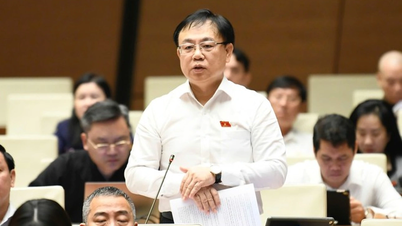 “Một công chức nếu không ăn gì cả, vài trăm năm mới mua được nhà”
