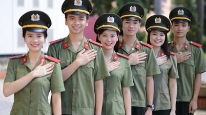 人民安全保障アカデミーが2024年のベンチマークスコアを発表