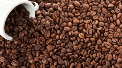 ราคาในประเทศพุ่งถึง 2,700 ดอง/กก. ตลาดกาแฟมีสัญญาณบวกหลายด้าน