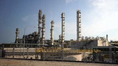 Long Son Petrochemical Complex បន្ថែមព័ត៌មានលម្អិតស្តីពីការផ្អាករោងចក្រ ការវិនិយោគបន្ថែមចំនួន ៧០០ លានដុល្លារអាមេរិក