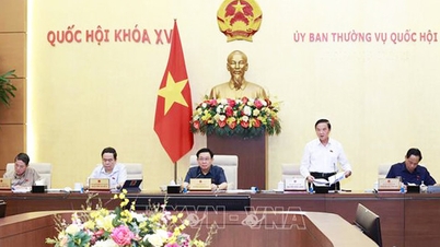 គណៈកម្មាធិការអចិន្ត្រៃយ៍រដ្ឋសភាផ្តល់យោបល់លើសេចក្តីព្រាងច្បាប់ស្តីពីការការពារសិទ្ធិអ្នកប្រើប្រាស់ (វិសោធនកម្ម)